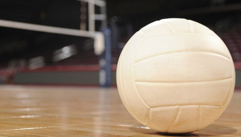 Volleyball for sports facility financial strategy
