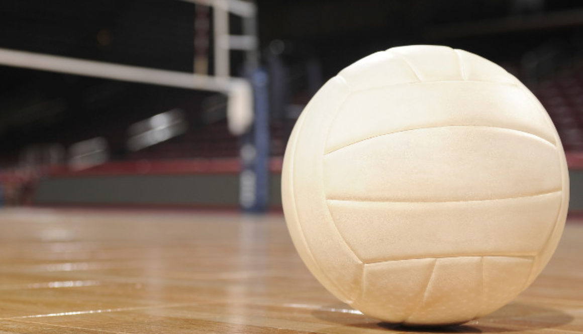 Volleyball for sports facility financial strategy