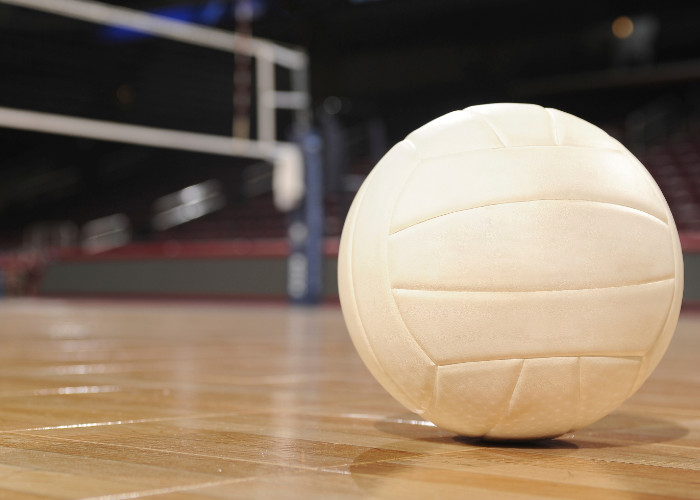Volleyball for sports facility financial strategy