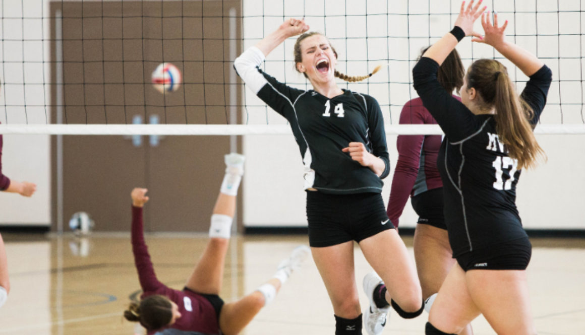 Team Management for Volleyball Team