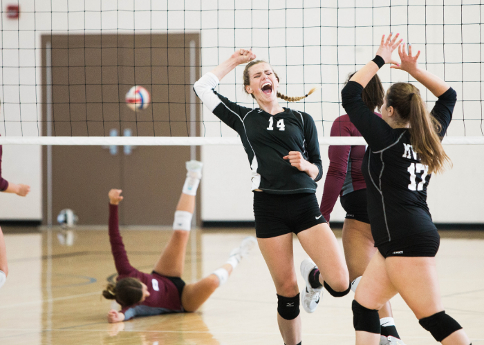 Team Management for Volleyball Team