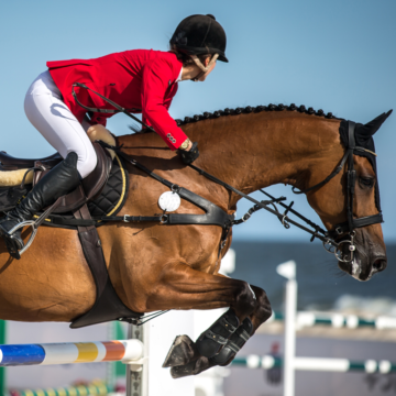 Equestrian-eSoft-Software-Sports