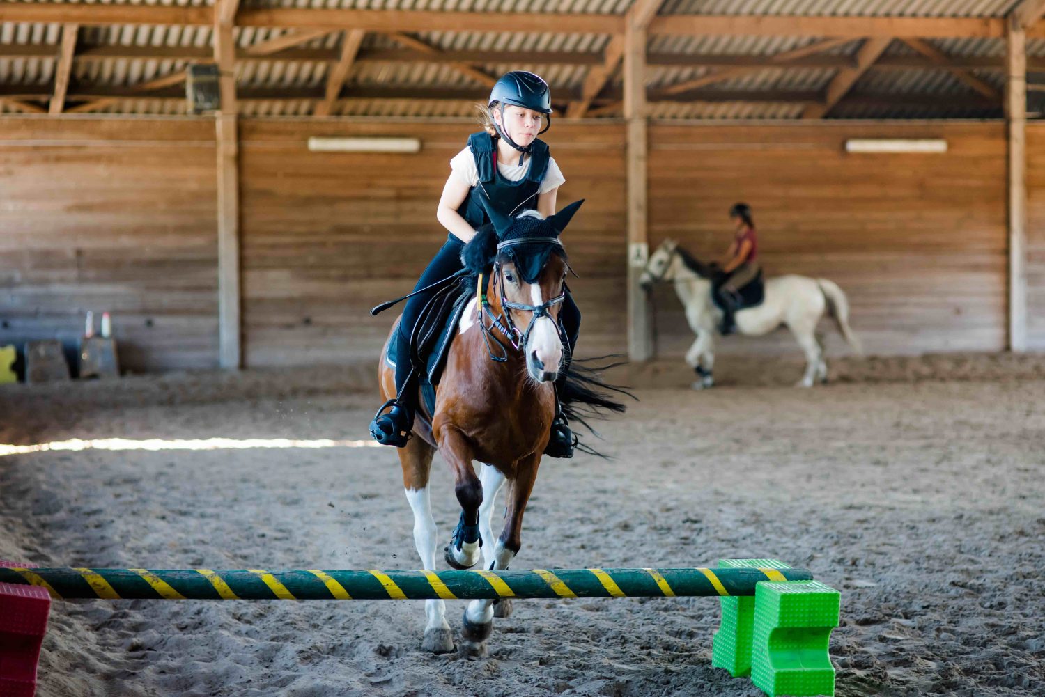 Schedule Your Lessons With A Horse Lesson Scheduling App