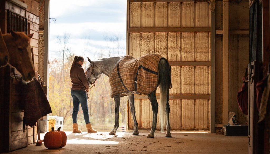 Teenage girl standing with horse in stable