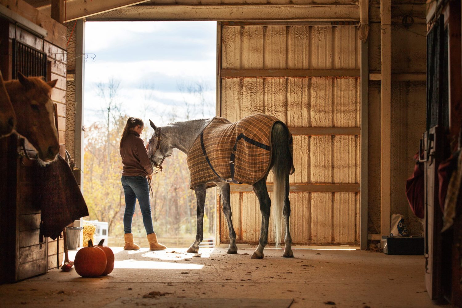 Teenage girl standing with horse in stable